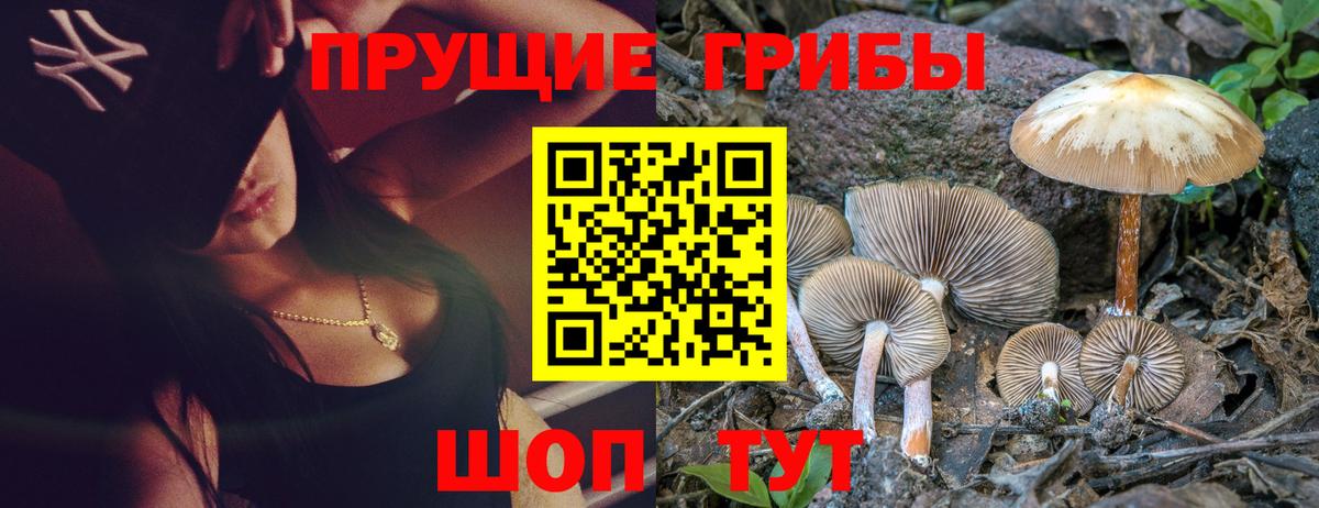 Галлюциногенные грибы прущие грибы  Вход с VPN  Ступино  Псилоцибиновые грибы Magic Shrooms 